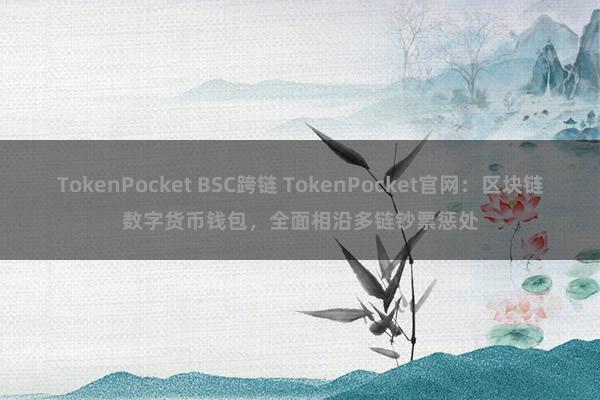 TokenPocket BSC跨链 TokenPocket官网：区块链数字货币钱包，全面相沿多链钞票惩处