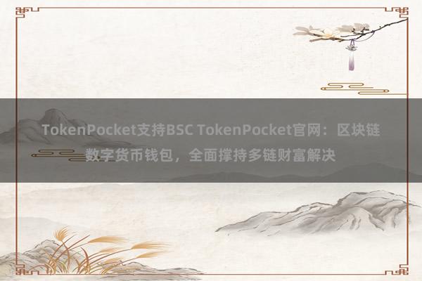 TokenPocket支持BSC TokenPocket官网：区块链数字货币钱包，全面撑持多链财富解决